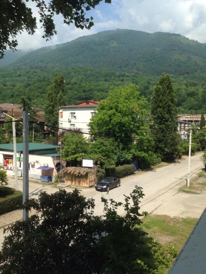 Апартаменты Apartment on Abazgaa Гагра-7